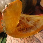 DSC05713