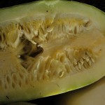 DSC05720