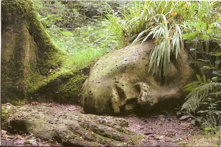 https://ogrodologia.info/Users/6/images/depuwu_sad-010.jpg