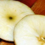 żebrrka z jabłkami (15)
