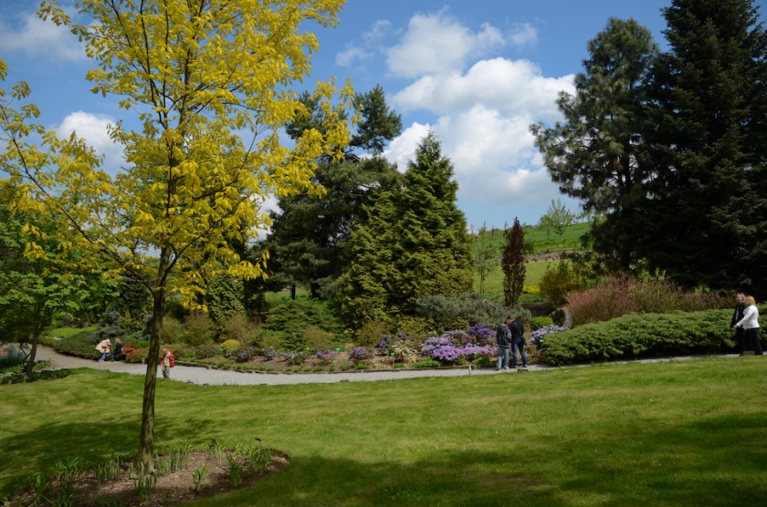 Arboretum_Strzelin-2