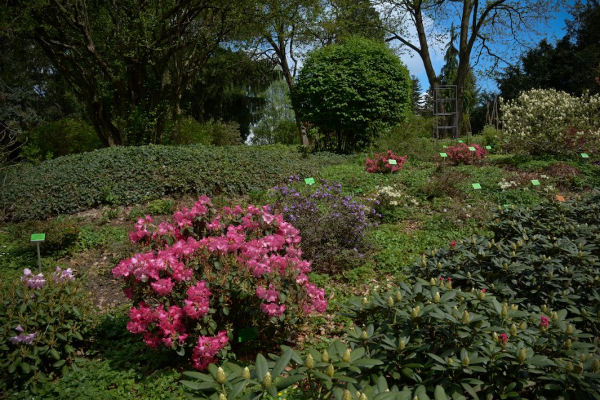 Arboretum_Strzelin-3