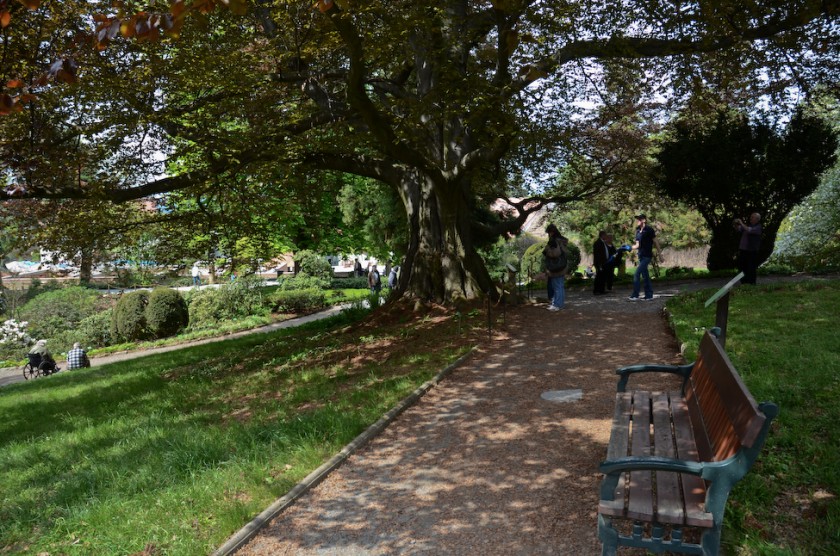 Arboretum_Strzelin-4