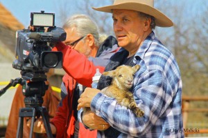 407046_545050932212424_227712932_n