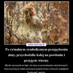 po-rytualnym-symbolicznym-przepedzeniu-zimy-przych