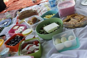 1150325_447064242073414_2146257223_n