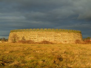 Slawenburg_Raddusch_(Raduš)_01