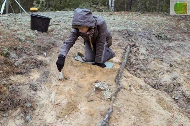 dscf0596-male-640x425