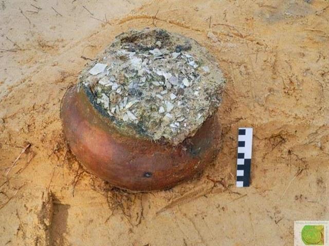 dscn7414-male-640x480