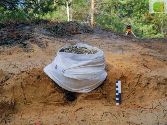 dscn7426-male-640x480