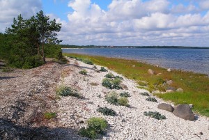 1024px-Baltic_coast_near_Suuresadama,_July_2009