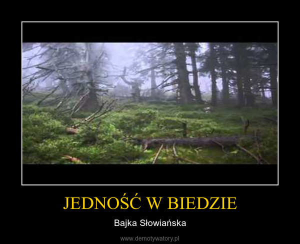 1406047102_2cjjcm_600