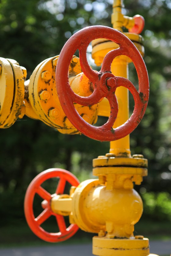 14317146638_9fe19ce389_o