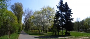 Park_im._A._Wodziczki