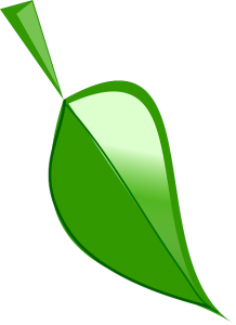 leaf-295300_640