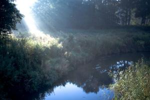 Białowieski Park Narodowy 17