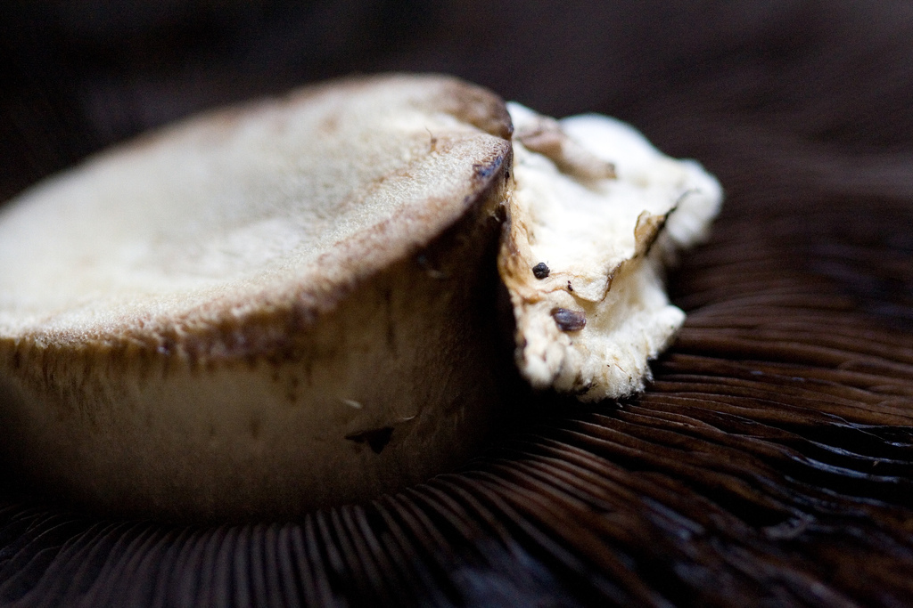 pieczarki z piekarnika