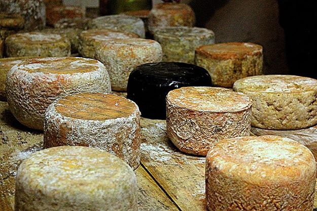 10574253_798410773512742_5735271745860696527_n