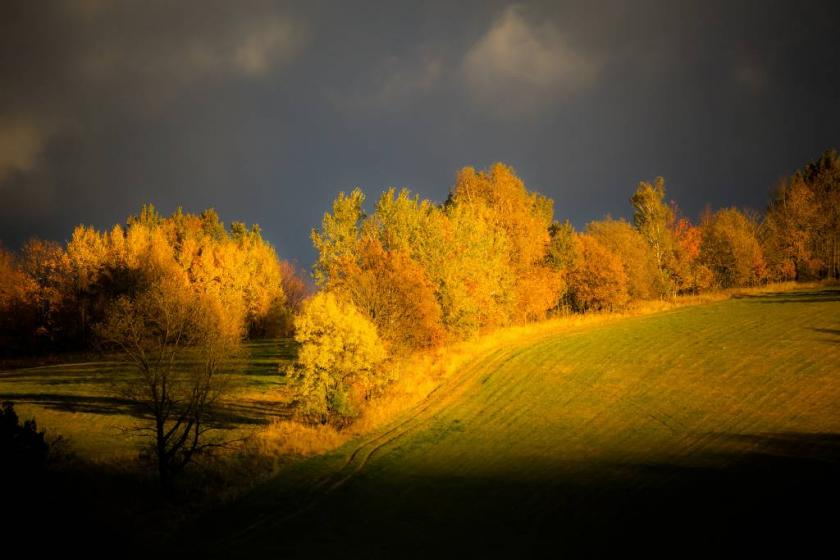 10676915435_f1cd9baa16_k