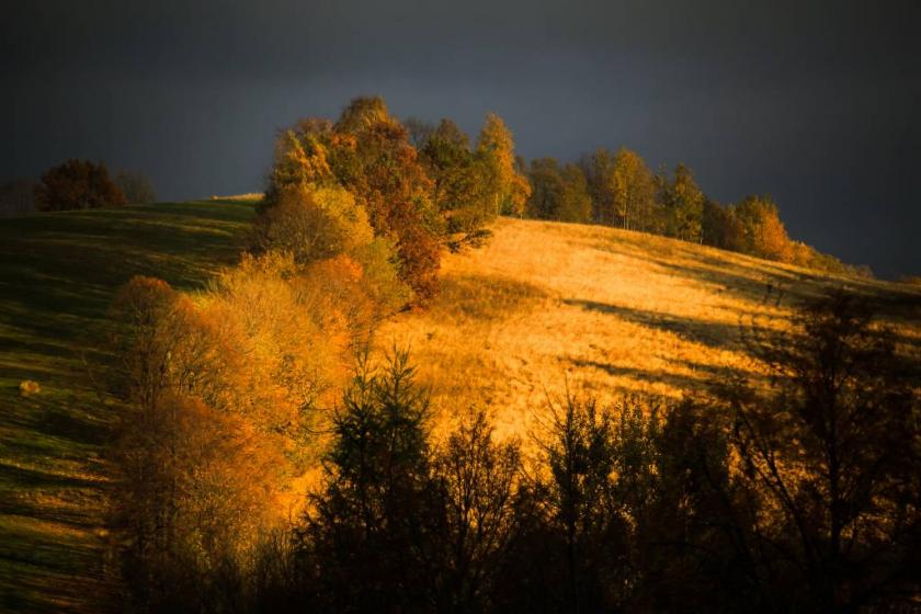 10676920905_75a681d556_k