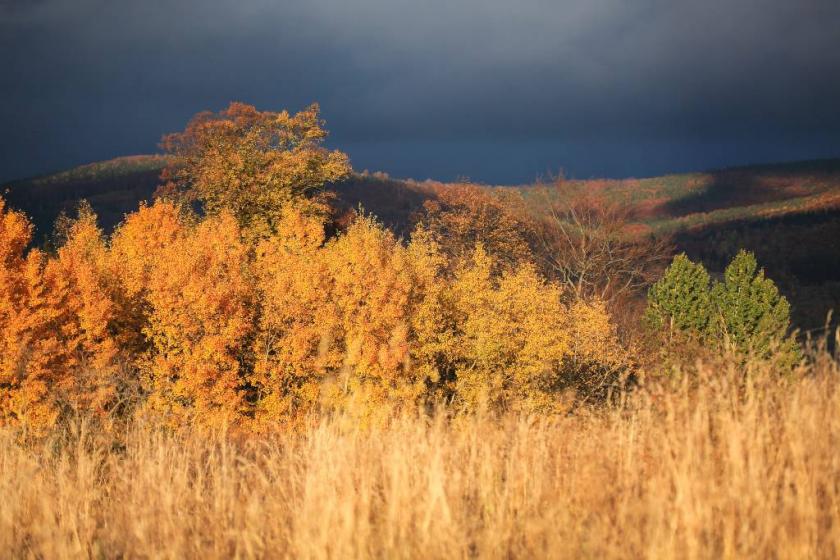 10676941975_aa69e96123_k