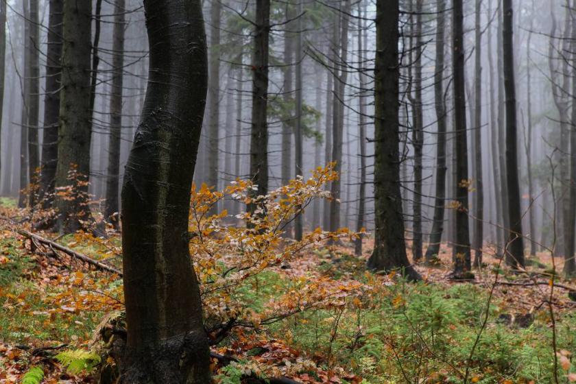 10676942946_5ce7c89903_k