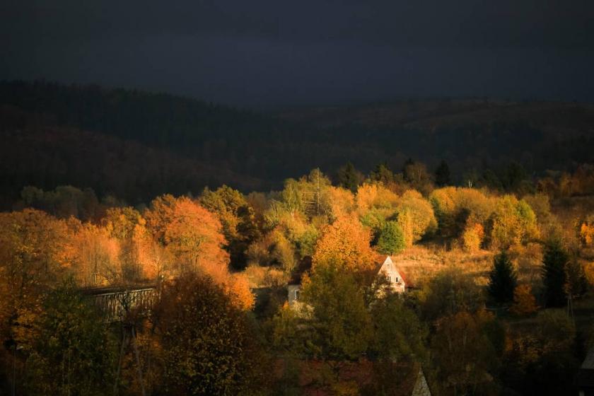 10677195823_9baf804b22_k