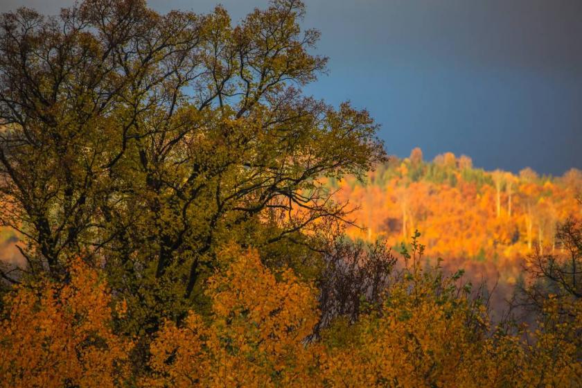 10677224743_ff4fa3b5be_k