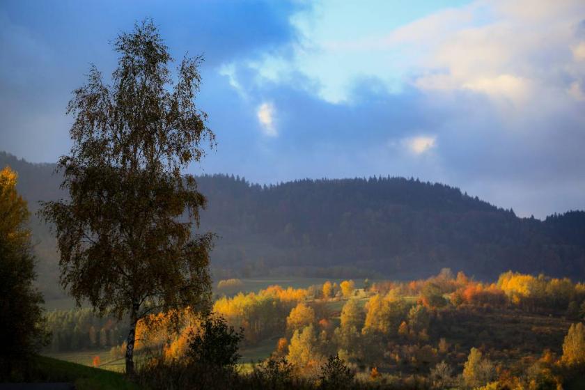 10677235943_e1becf636c_k