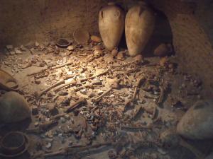 6863291894_0fe47de26e_b