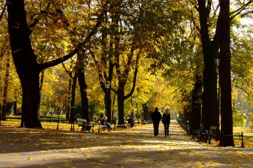 Jesień_na_Plantach6