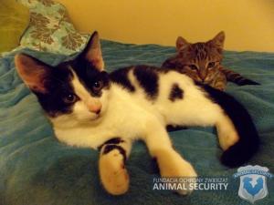 10411994_787681947962394_8879052558449782961_n