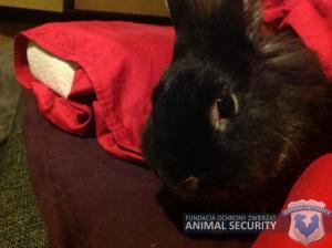 10614311_779470525450203_1100178116425011515_n