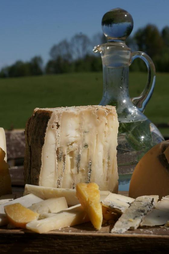 1490586_607352392689925_1631345237_o