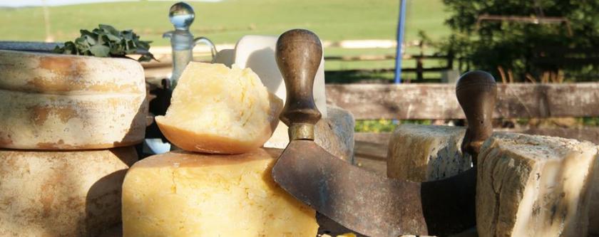 1964926_607353866023111_1116260594_n