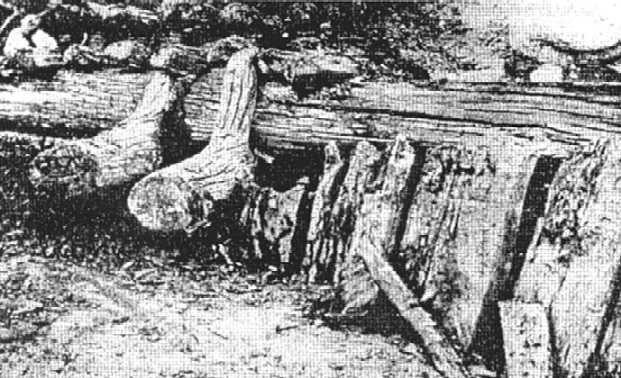 Bez tytułu