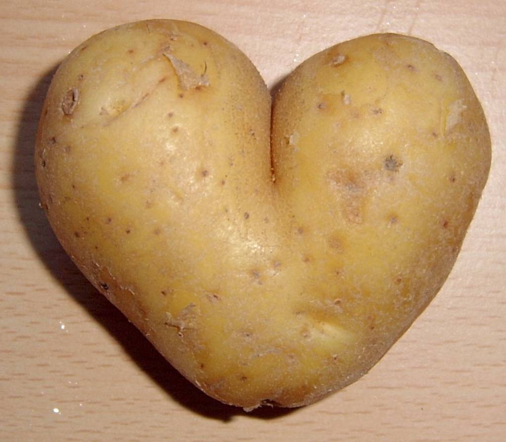 Potato_heart_mutation