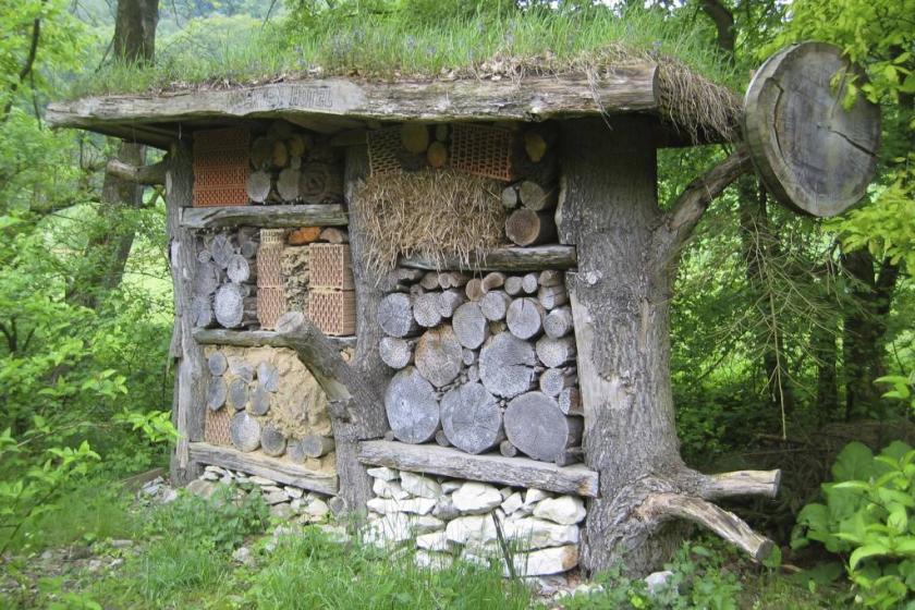 Insektenhotel_am_Waldhaus_Durbeke_im_sechsten_Jahr