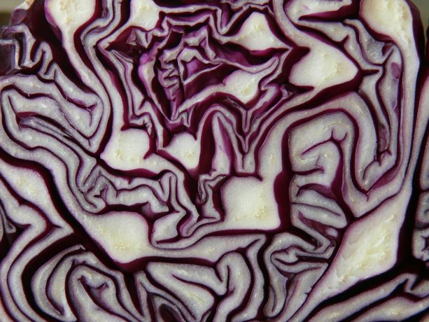 red-cabbage-293349_1280