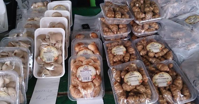 10406611_588926881207938_5426021325407936124_n