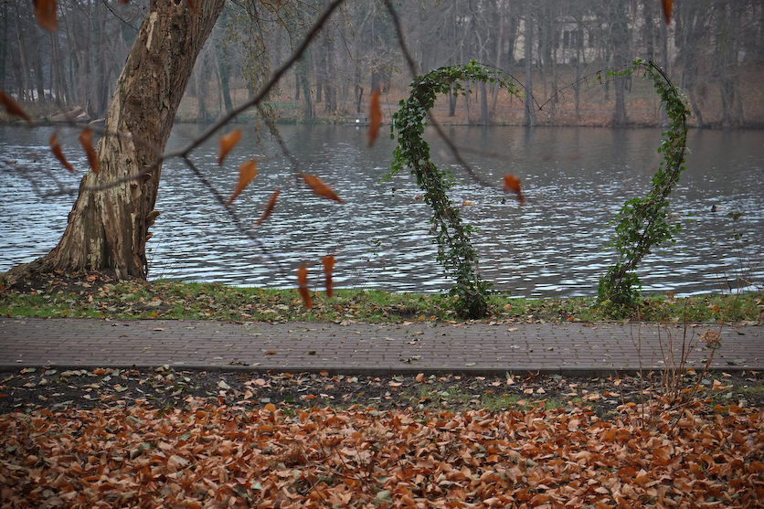 Lubniewice-0965