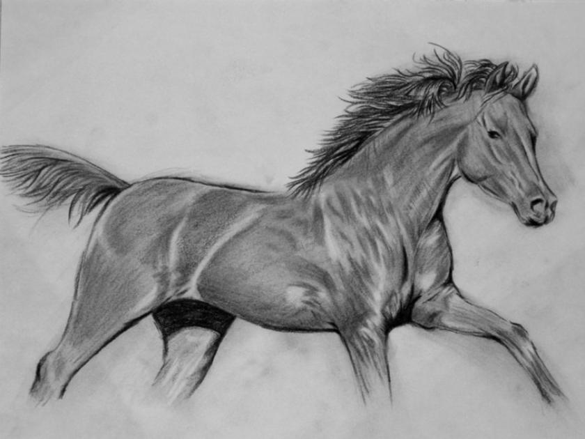 hand_drawing_horse_by_natasha555-d3e2k57