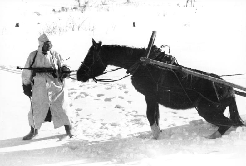 Bundesarchiv_Bild_101I-215-0366-03A,_Russland,_Soldat,_Pferd_im_Winter