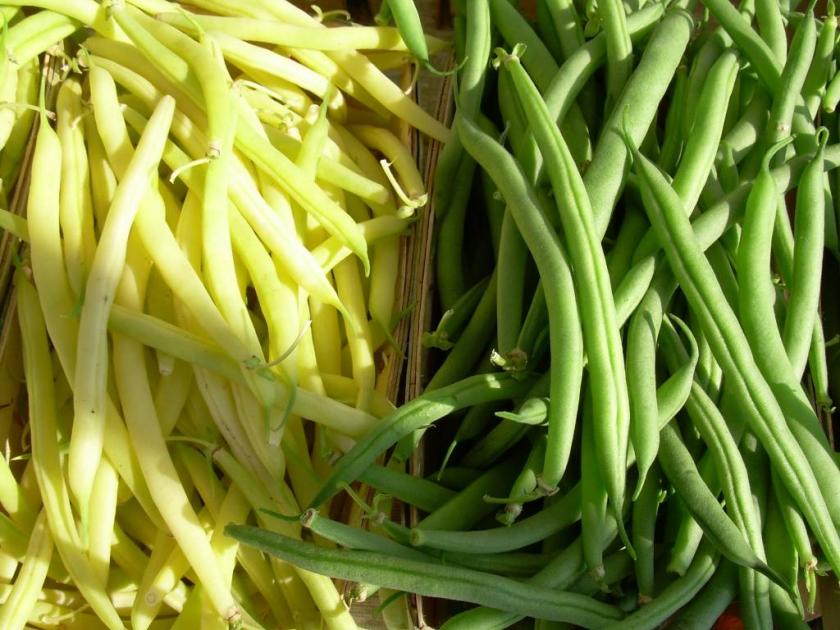 greenbeans_green&yellow_print