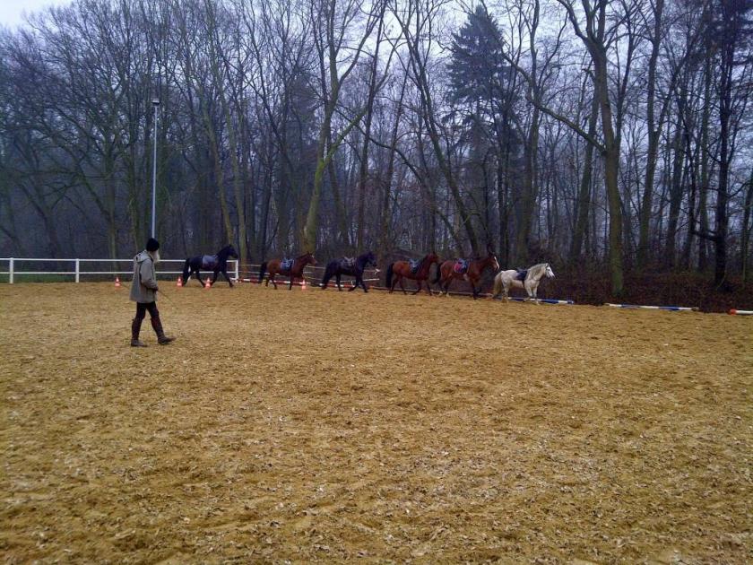 padok stajnia chobienice Onix