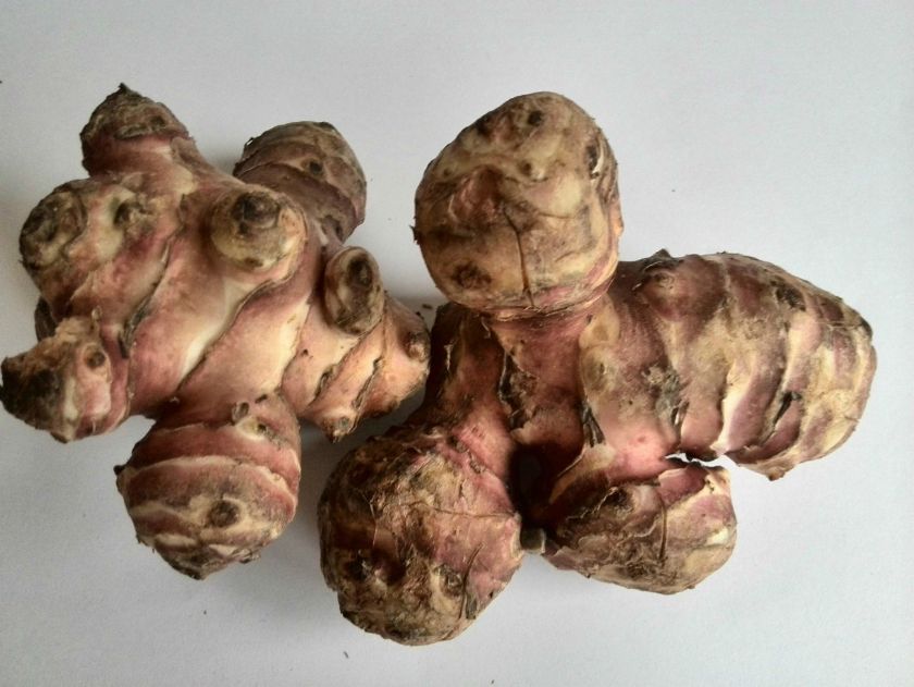 krem z słonecznika bulwiastego