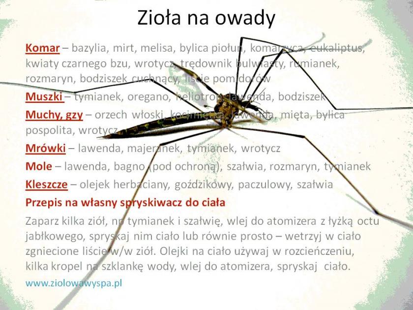 Zioła-na-owady