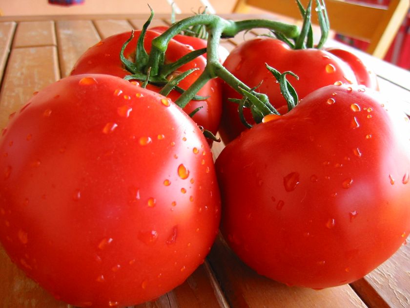 Pomidor ma wiele właściwości
