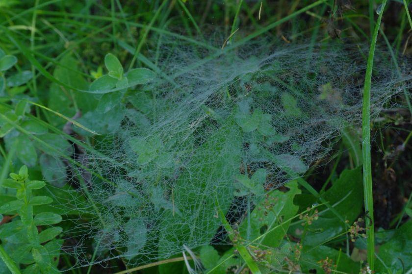 wrzesien2011-362-1024x681