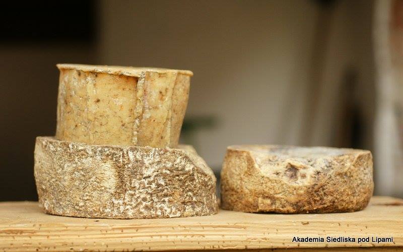 Warsztaty serowarsko-chlebowe w Akademii Siedlsika pod Lipami